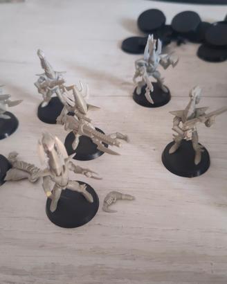 dark eldar squadra di guerrieri (20x)