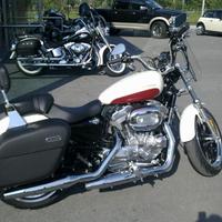 Moto883 harly Davidson