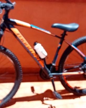 bici mountain bike