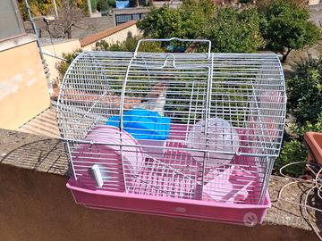 gabbietta per criceti 