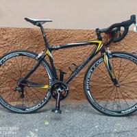 Giant TCR Carbon Team ONCE 2004