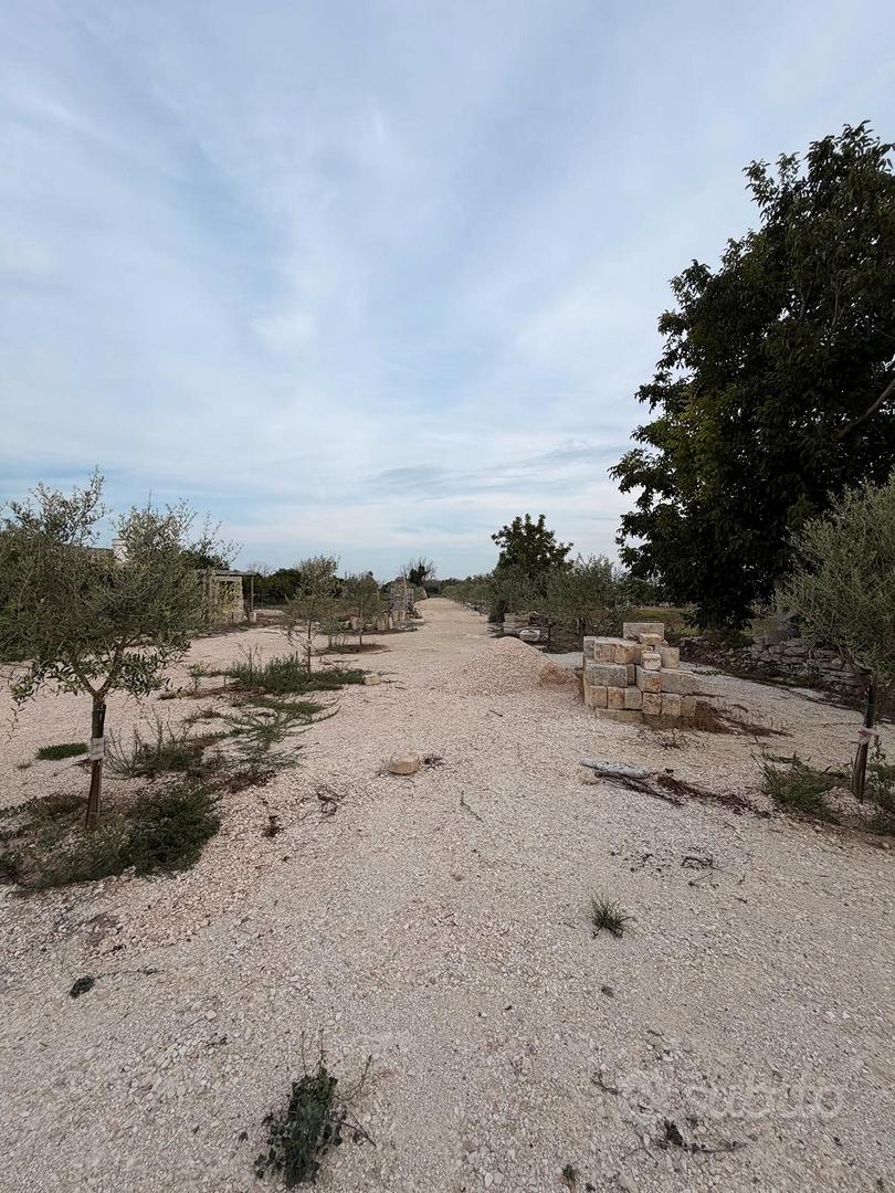 Terreno con piccolo rustico - Vista 5