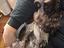 Immagine 4