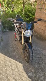 Honda Hornet 600