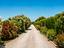 Immagine 23