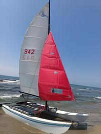 Catamarano Beluga 16