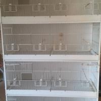 Gabbia completa di carrello