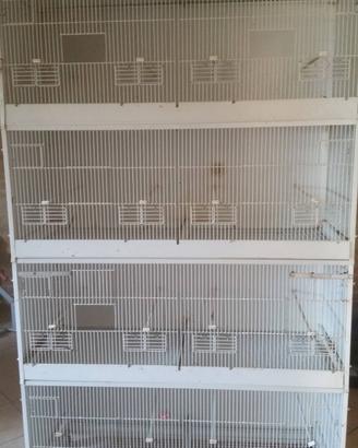 Gabbia completa di carrello