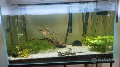 acquario completo