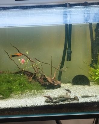 acquario completo