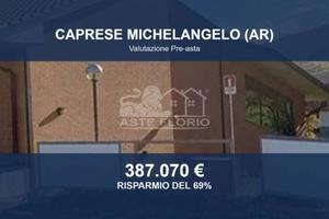 Immobile in asta di 32160 m² a Caprese Michelangel