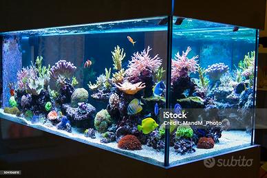 Fluval Sea plafoniera LED per acquari marini