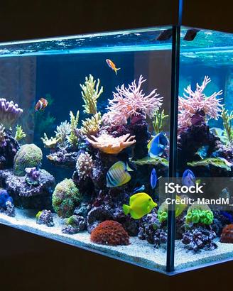 Fluval Sea plafoniera LED per acquari marini