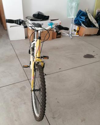 Mountain bike
