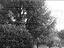 Immagine 8
