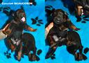 cuccioli-beauceron-maschi-nero-focati