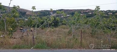 Terreno agricolo ad Agropoli zona moio