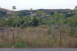 Terreno agricolo ad Agropoli zona moio
