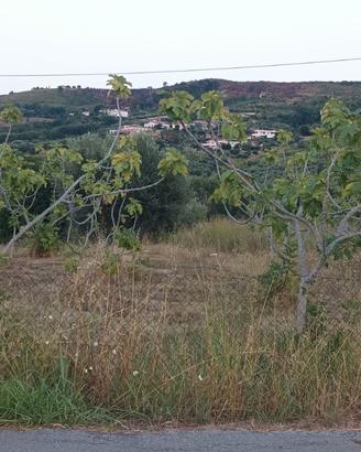 Terreno agricolo ad Agropoli zona moio