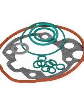 Guarnizioni TPR Minarelli AM6 da 50 - 9924160