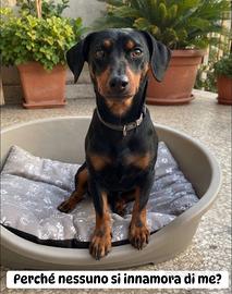 Tobia aspetta la sua mamma