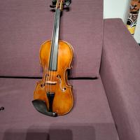 Violino