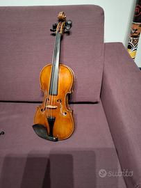 Violino