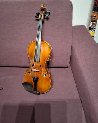 Violino
