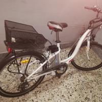  bici pedalta assistita 