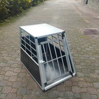 trasporto cani 