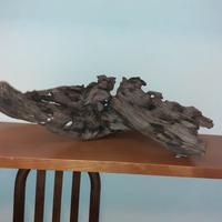 arredo per acquari 25 euro al pezzo