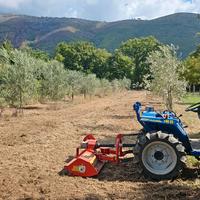 Pulizia piccoli giardini e terreni