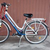 BICI DONNA TORPADO NAVIGATOR T 431