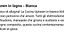 Immagine 5