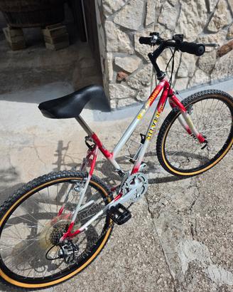 Mountain Bike 24 seminuova 