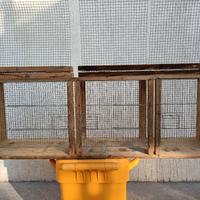 gabbia per ucellini