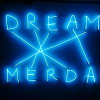 Scritta Led Seletti "Dream M3rda"