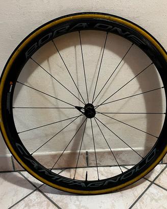 ruote campagnolo bora