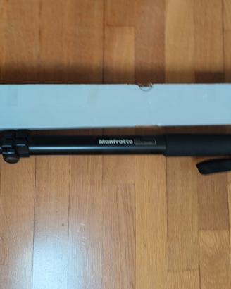 Monopiede Manfrotto 682B + Testa 234RC