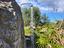 Immagine 9