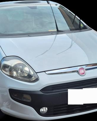 punto evo