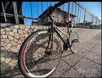 bottecchia AV 803 lady 