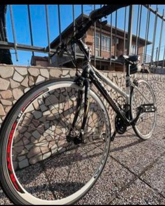 bottecchia AV 803 lady 