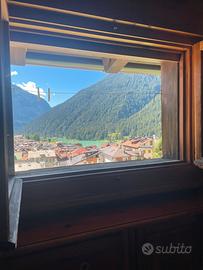 Auronzo di Cadore 7 posti letto