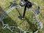 Immagine 1