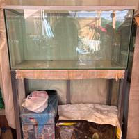 Acquario