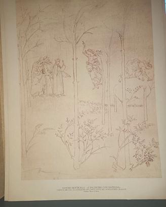 Trittico 3 Stampe "Divina Commedia" S. Botticelli