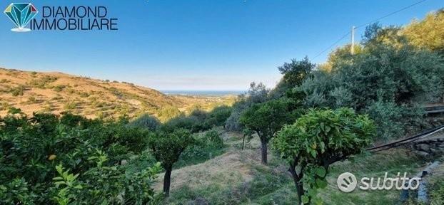 Terreno agricolo 12.000 mq a piedimonte etneo