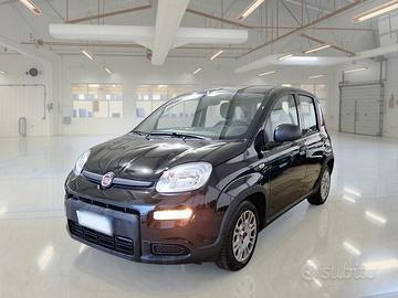 FIAT PANDA 1.0 FireFly 70cv S/S Hybrid 5 PORTE