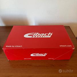 Molle Eibach Golf 5/6